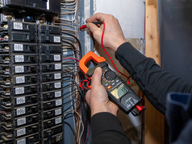 Best Electrical System Inspection  in Holly, MI