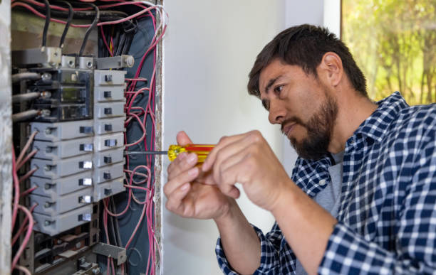 Best Ceiling Fan Installation Electrician  in Holly, MI